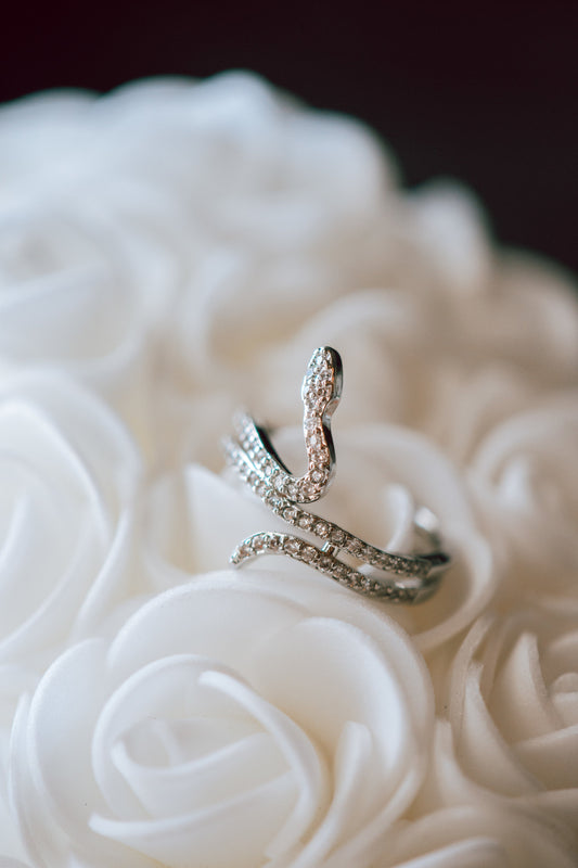 Cantrell Snake Silver Ring